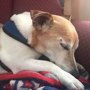 Meet your Posher, William